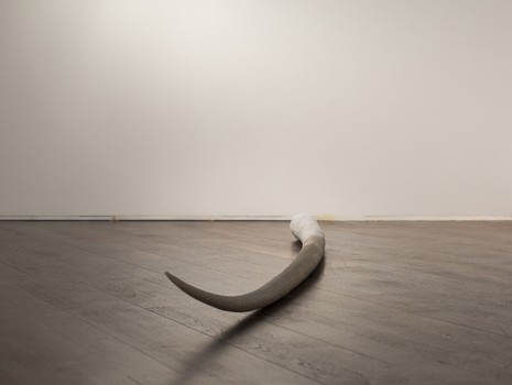 Julia Spínola, Cuerno, 2020 , Galería Heinrich Ehrhardt