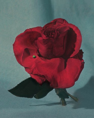 Sara Cwynar, Red Rose II, 2020 , David Zwirner