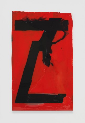 Will Boone, Zed, 2020 , David Kordansky Gallery