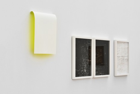 Roeland Tweelinckx, Compulsive Reflex, 2013 , Irène Laub Gallery