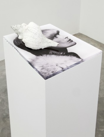 Marlo Pascual, Untitled, 2013 , Casey Kaplan