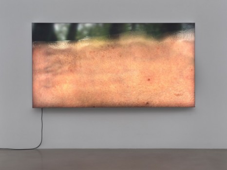 Seth Price , Untitled , 2019 , Petzel Gallery