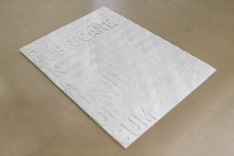Rirkrit Tiravanija, untitled 2020 (a hurricane in a drop of cum) (two flags, 1962), 2020, Galerie Chantal Crousel