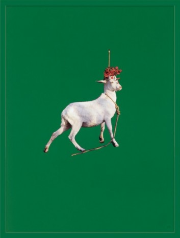 Sarah Charlesworth, Goat, 1985 , Paula Cooper Gallery