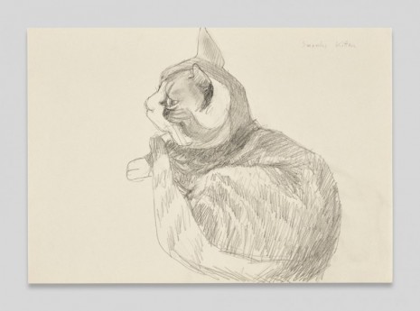 Maria Lassnig, Sarah's Kitten, 1970 , Petzel Gallery