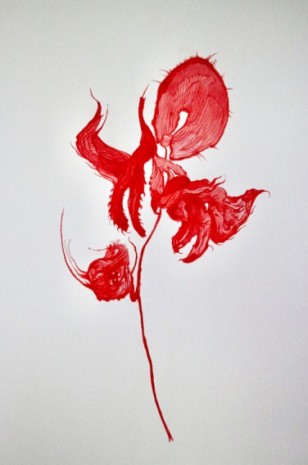 Joanna Kirk, Flowers of the Future # 8, 2020, Cardi Gallery