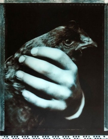 Roger Eaton, Hand, Cornwall, 1989, Cardi Gallery