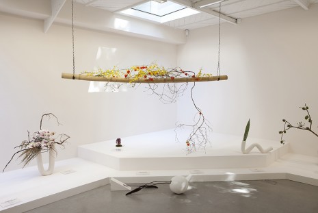 Camille Henrot, Is it possible to be a revolutionary and like flowers ?, 2012, kamel mennour