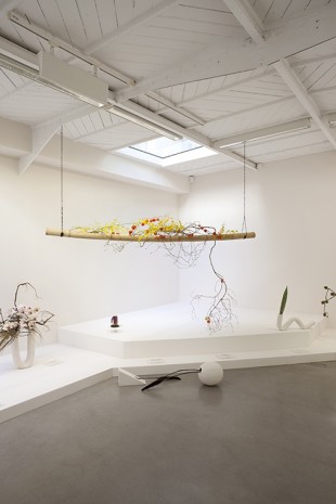 Camille Henrot, Is it possible to be a revolutionary and like flowers ?, 2012, kamel mennour