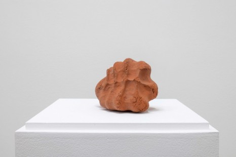 Gabriel Orozco , Mis manos son mi corazon, 1991, Galerie Chantal Crousel