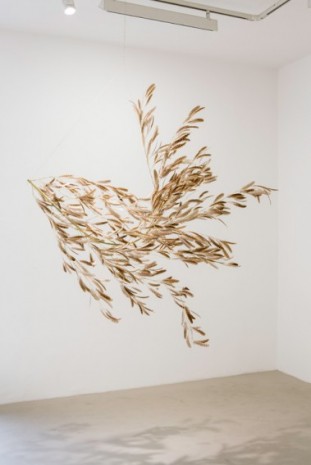 Gabriel Orozco , Roiseau 3, 2012, Galerie Chantal Crousel