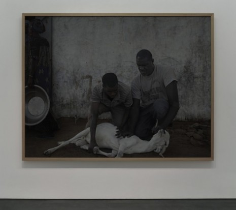 Luc Delahaye, Sacrifice d'un bélier, 2019, Galerie Nathalie Obadia