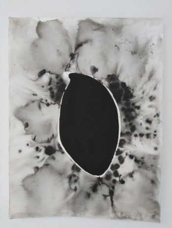 Julia Bornefeld, Morphic fields V, 2018 , Galerie Elisabeth & Klaus Thoman