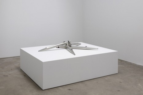Susan Philipsz, Together V, 2020 , Tanya Bonakdar Gallery