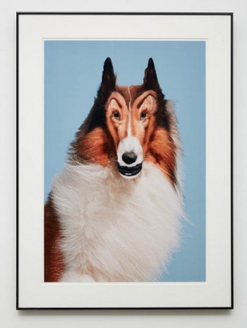 John Waters, Reconstructed Lassie, 2012, MASSIMODECARLO