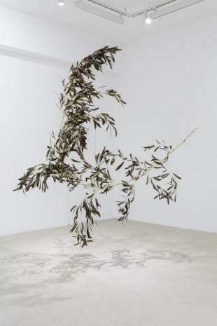 Gabriel Orozco, Roiseau 6, 2012, Galerie Chantal Crousel