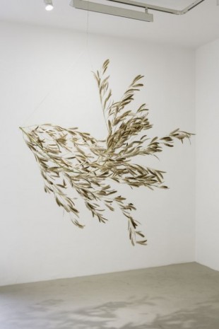 Gabriel Orozco, Roiseau 3, 2012, Galerie Chantal Crousel
