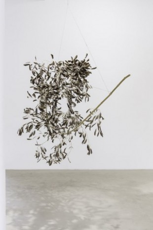 Gabriel Orozco, Roiseau 4, 2012, Galerie Chantal Crousel