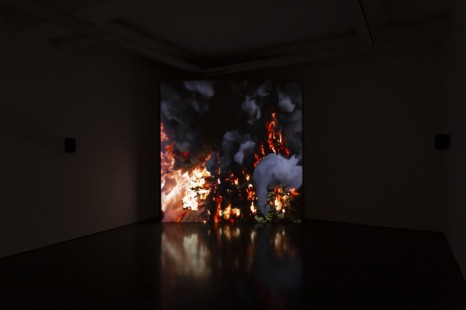 David Claerbout, Wildfire (meditation on fire), 2019-2020, Pedro Cera