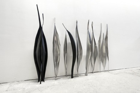 Marie Denis, Nella Wunderkammer, 2019, Galerie Alberta Pane
