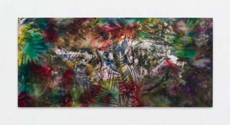 Sam Falls, Paradise, 2020, 303 Gallery
