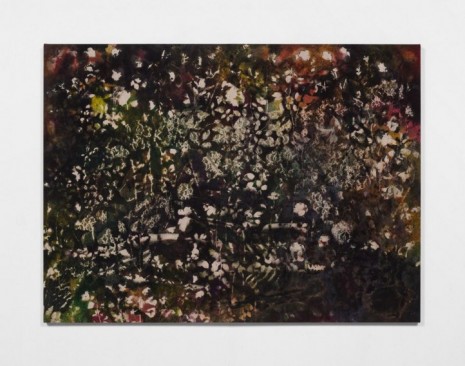 Sam Falls, Forest Floor, 2020, 303 Gallery