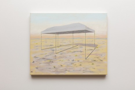 William Leavitt, Canopy, 2019, galerie frank elbaz