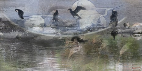 Ella Reitsma.Snoep, Cormorants in Kamo River Kyoto. Egrets on Imari plate ca.1700, 2019-2020, Annet Gelink Gallery