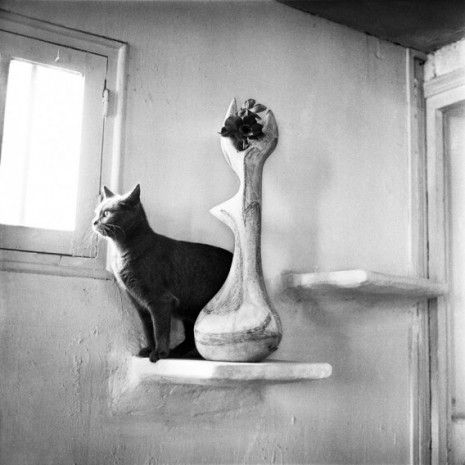 Agnès Varda, Sans titre, 1958, Galerie Nathalie Obadia