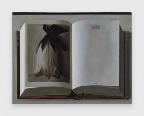 Liu Ye, Book Painting No. 21 (Karl Blossfeldt, The Complete Published Work, Taschen GMBH, 2017), 2018, David Zwirner