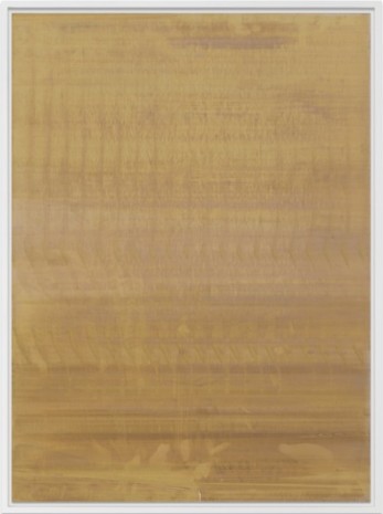 Wolfgang Tillmans, Silver 214, 2009, Galerie Buchholz