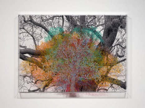 Charles Gaines, Numbers and Trees: London Series 1, Tree #6, Fetter Lane, 2020 , Hauser & Wirth