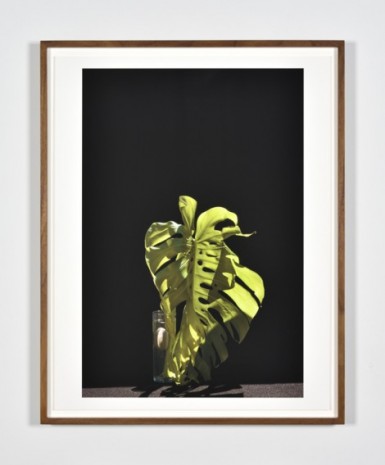 Luciano Perna, May 28, 2020, 10:09 am, Monstera Leaf II, 2020, Marian Goodman Gallery
