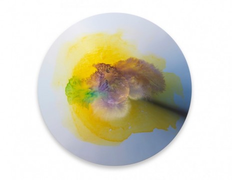 Olafur Eliasson, Colour experiment no. 106, 2020 , Tanya Bonakdar Gallery
