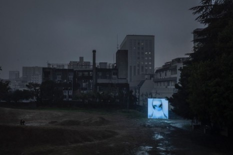 Pierre Huyghe, Of Ideal, 2019 - ongoing , Hauser & Wirth
