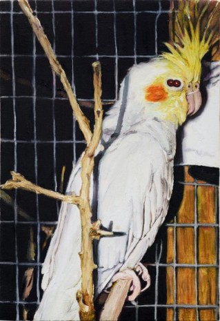 Léopold Rabus, 20 oiseau, 2020 , Wilde