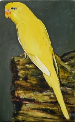 Léopold Rabus, 18 oiseau, 2020 , Wilde