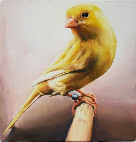Léopold Rabus, 8 oiseau, 2020 , Wilde