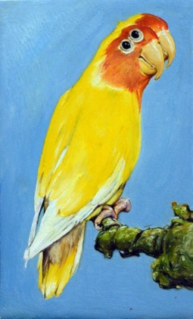 Léopold Rabus, 22 oiseau, 2020 , Wilde