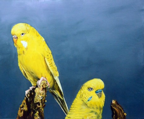 Léopold Rabus, 2 oiseau, 2020 , Wilde