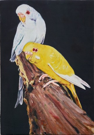 Léopold Rabus, 14 oiseau, 2020 , Wilde