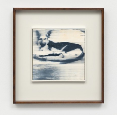 Gerhard Richter, Hund, 1965, Sies + Höke Galerie