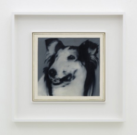 Gerhard Richter, Hundekopf (Lassie), 1965 , Sies + Höke Galerie