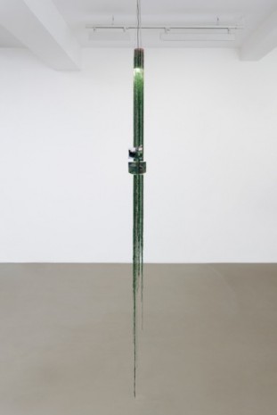 Mimosa Echard, Sap 4, 2021 , Galerie Chantal Crousel