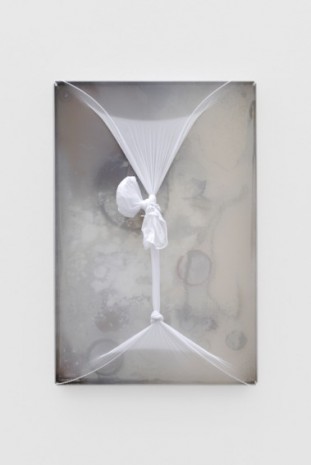 Mimosa Echard, Narcisse 6, 2021, Galerie Chantal Crousel