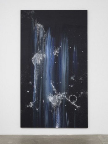 Sandra Cinto, Untitled (From the series Cosmic Garden/Nocturnal), 2021 , Tanya Bonakdar Gallery