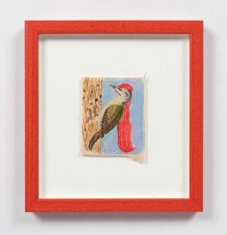 Kevin McNamee-Tweed, Long Red Haired Woodpecker, 2020 , Steve Turner