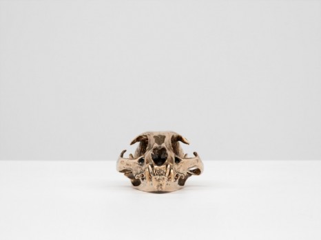Sherrie Levine, Bobcat Skull, 2010 , Xavier Hufkens