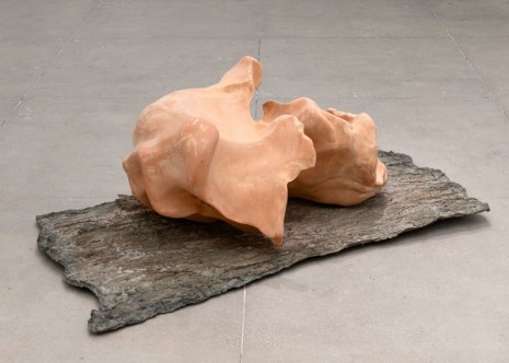 Giuseppe Penone, Avvolgere la terra - corteccia, 2014, Marian Goodman Gallery