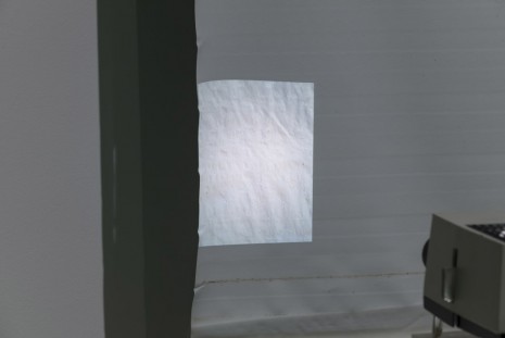 Ian Kiaer, Black tulip, glasshouse (detail), 2012, Alison Jacques